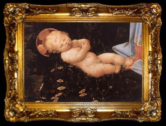 framed  LIPPI, Filippino Portrait of an Old Man gs, ta009-2
